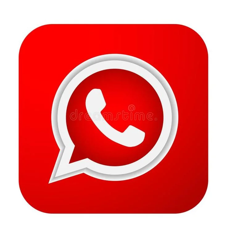 USA WhatsApp Business