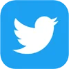 Twitter(X) - Autoreg 2025 - USA/MIX IP - Accounts confirmed by mail - Completed profile - 2FA + Token + Ct0