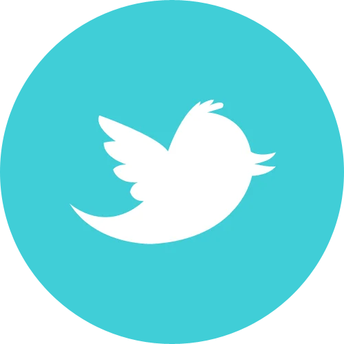 Twitter + Filled profile + Autoreg 2025 + Paul: Mix + File Format: Login: Pass: 2FA: TOKEN: CT0: Coolkie: Mail