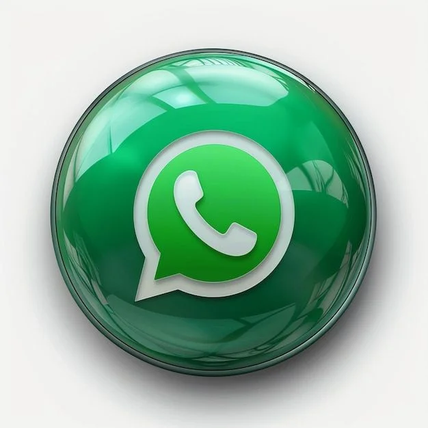 برازیل WhatsApp Business