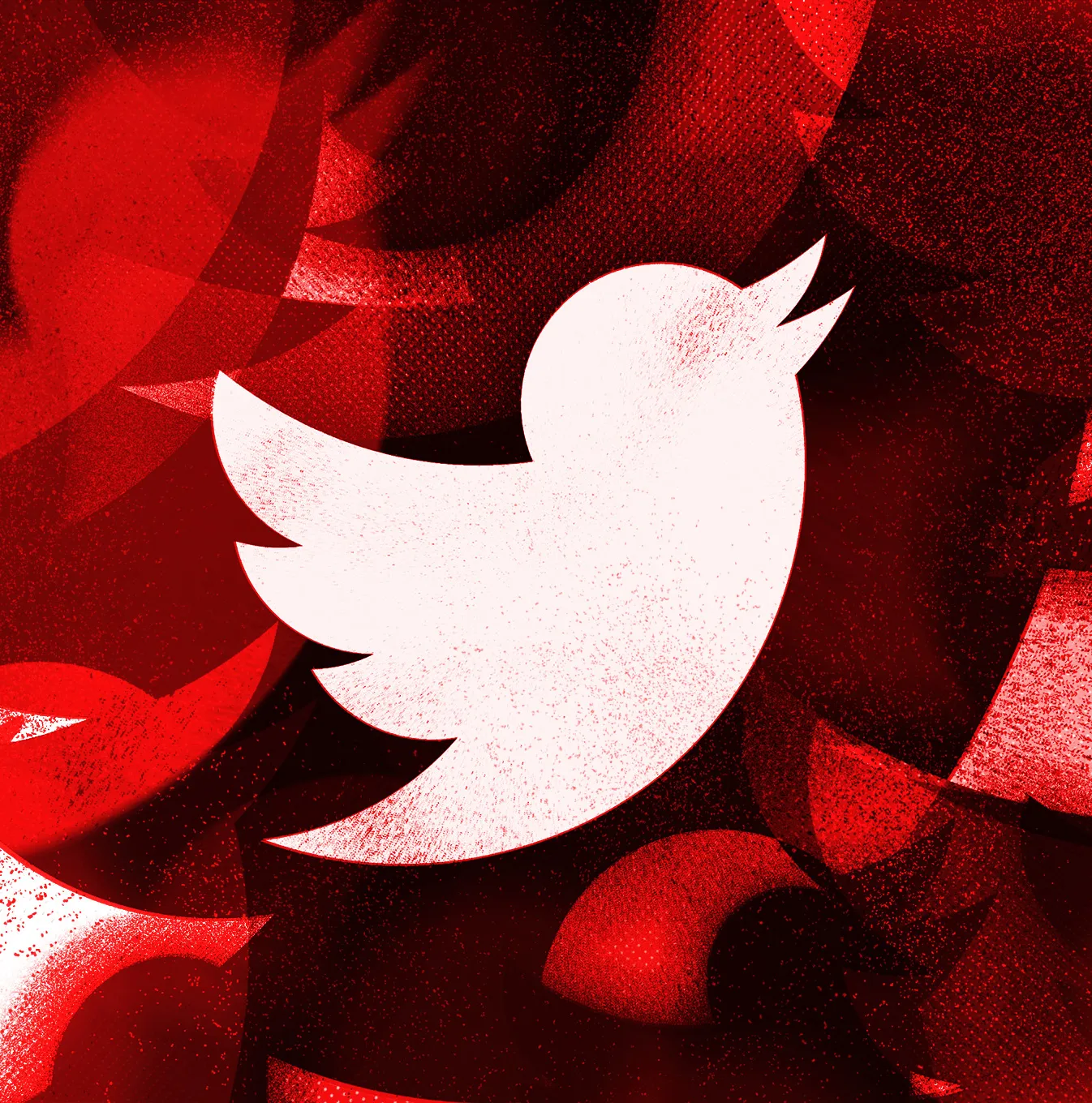 🐦 **Twitter Accounts** | 📧 Outlook/Hotmail Verified | 👩 Female | 🖼️ Avatar + Banner | 🍪 Cookies + 🔑 Token | 🌍 Multi-IP | ⚠️ SMS May Needed