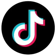 حساب TikTok بولندا 100 متابع