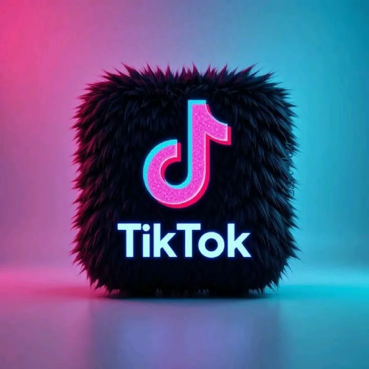 TikTok with 1yer Old bast quality account 